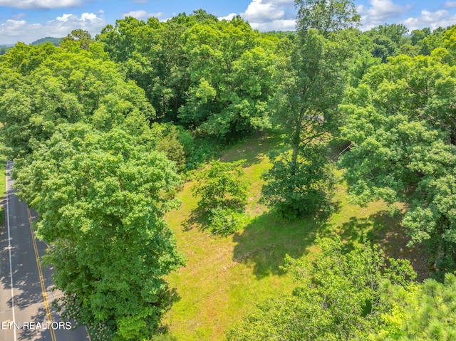Kodak Rd, Kodak, TN 37764