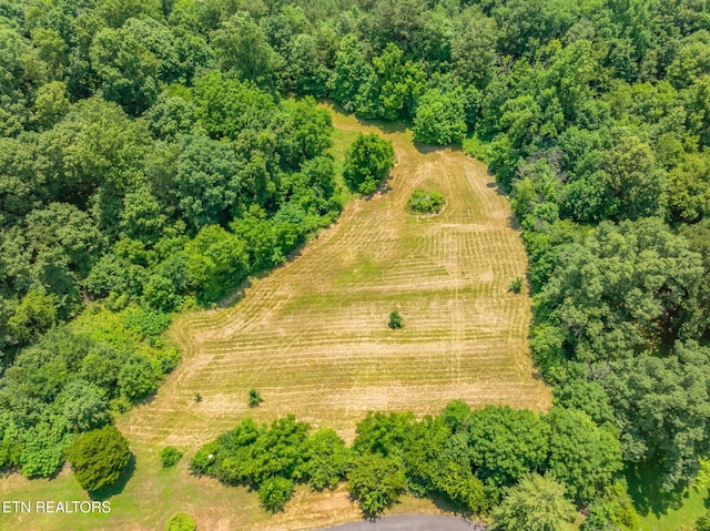 Kodak Rd, Kodak, TN 37764