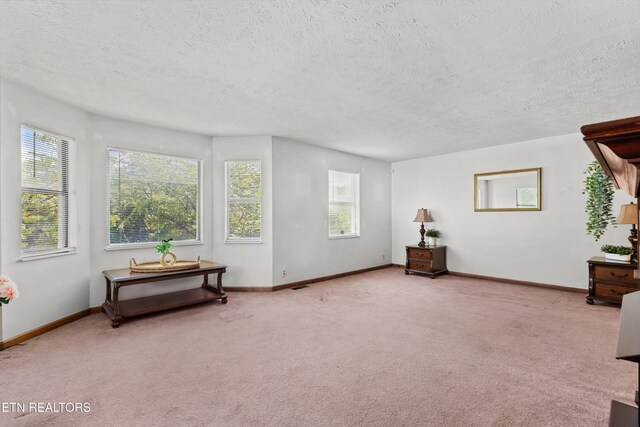 105 Seminole Dr, Knoxville, TN 37914 - photo 5