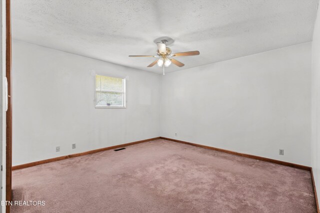105 Seminole Dr, Knoxville, TN 37914 - photo 17