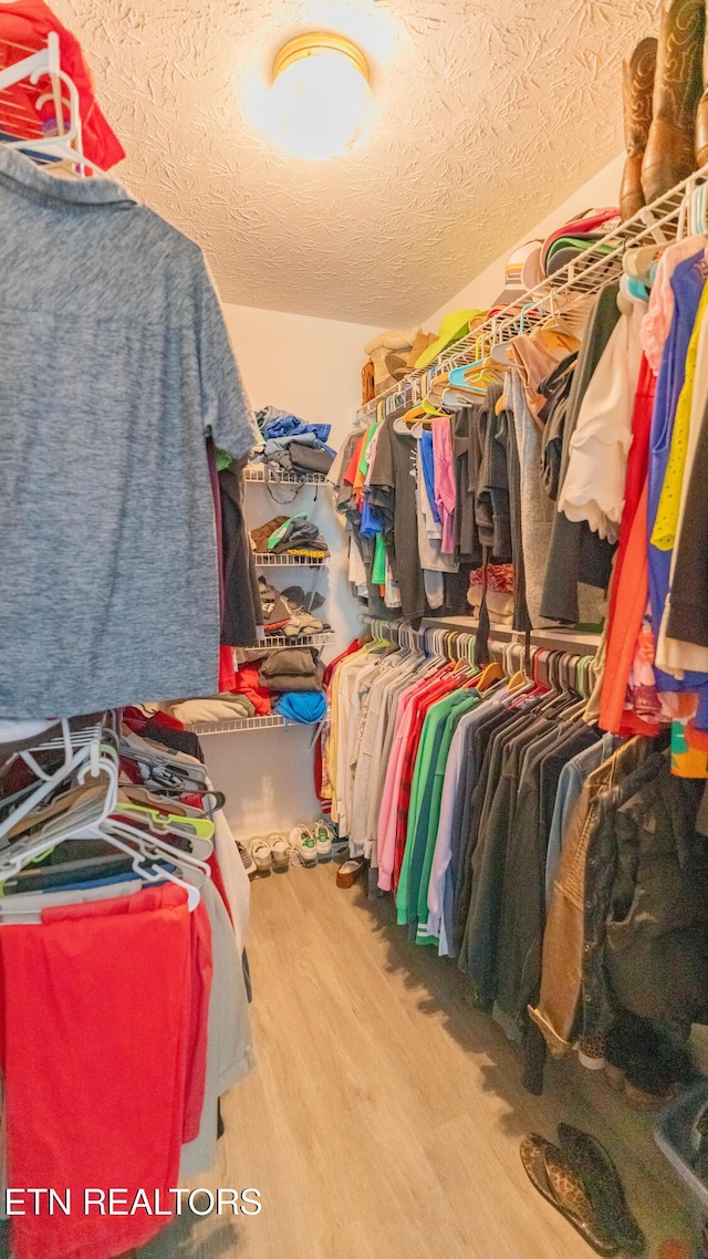 1517 Randal Park Dr, Knoxville, TN 37922 - walk in closet with wood finished floors