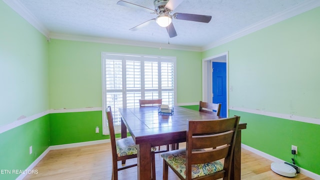 1517 Randal Park Dr, Knoxville, TN 37922 - dining room featuring a textured ceiling, wood finished floors, ceiling fan, and crown molding