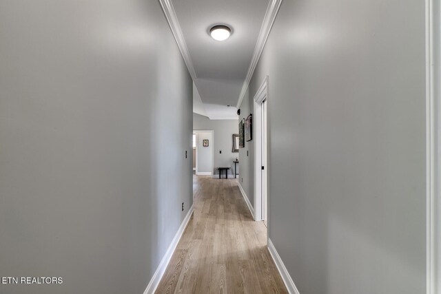 129 Dudi Trl, Vonore, TN 37885 - hallway with light wood-style floors and ornamental molding