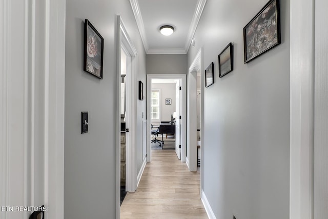129 Dudi Trl, Vonore, TN 37885 - hall featuring light wood finished floors, crown molding, and a desk
