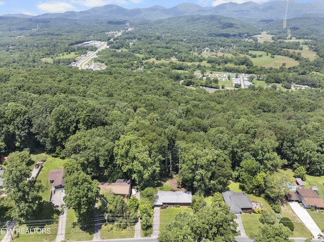 790 W Outer Dr, Oak Ridge, TN 37830 - photo 27