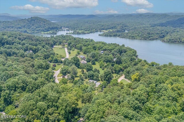 4016 Guinn Rd, Knoxville, TN 37931 - photo 11