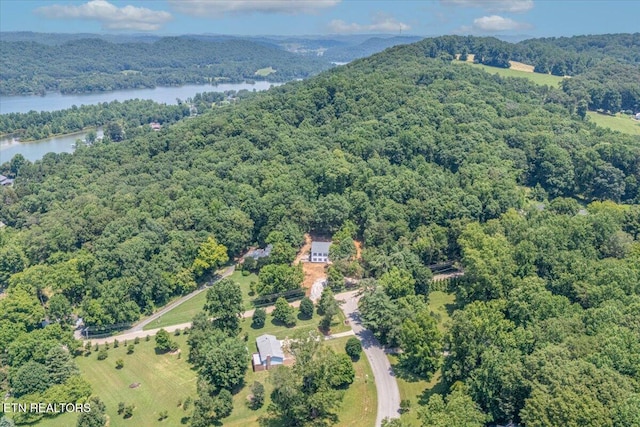 4016 Guinn Rd, Knoxville, TN 37931 - photo 13