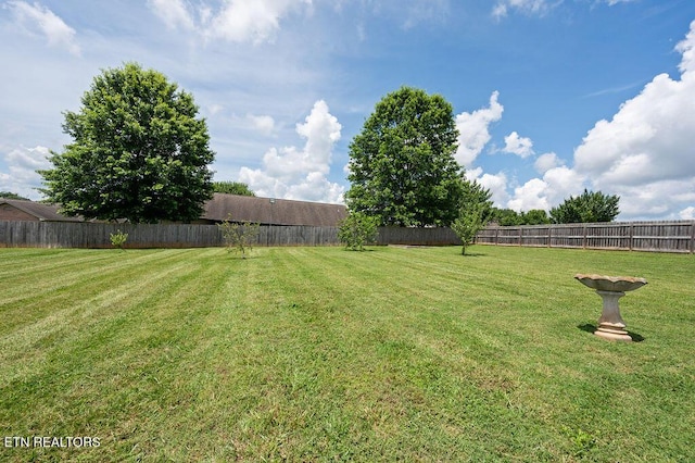 674 Southview Cir, Kodak, TN 37764 - view of fenced backyard