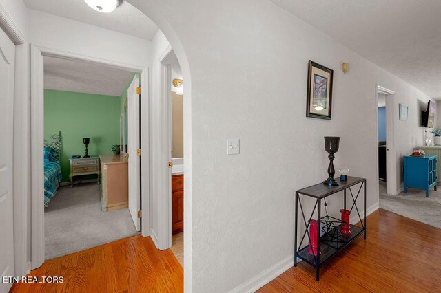674 Southview Cir, Kodak, TN 37764 - corridor with arched walkways and light wood-style flooring