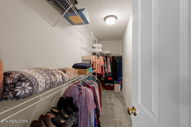 674 Southview Cir, Kodak, TN 37764 - walk in closet featuring carpet flooring