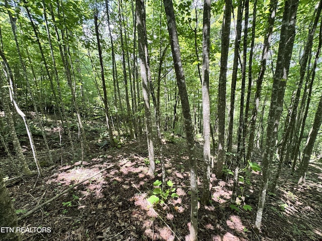 Key Ridge Ln, Crawford, TN 38554