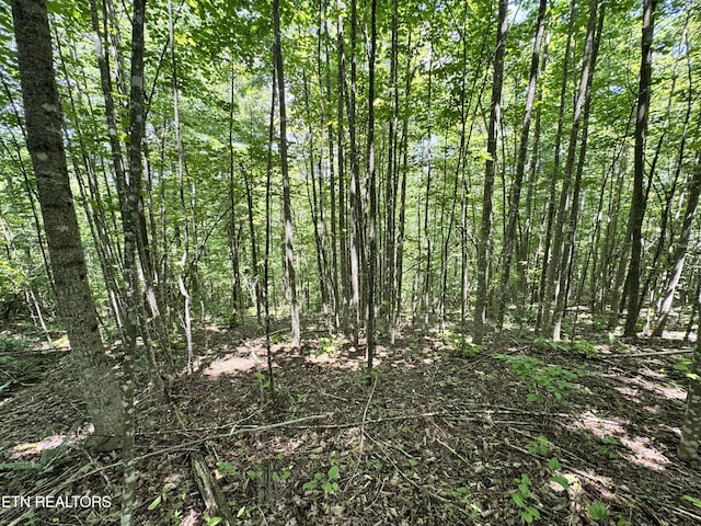 Key Ridge Ln, Crawford, TN 38554