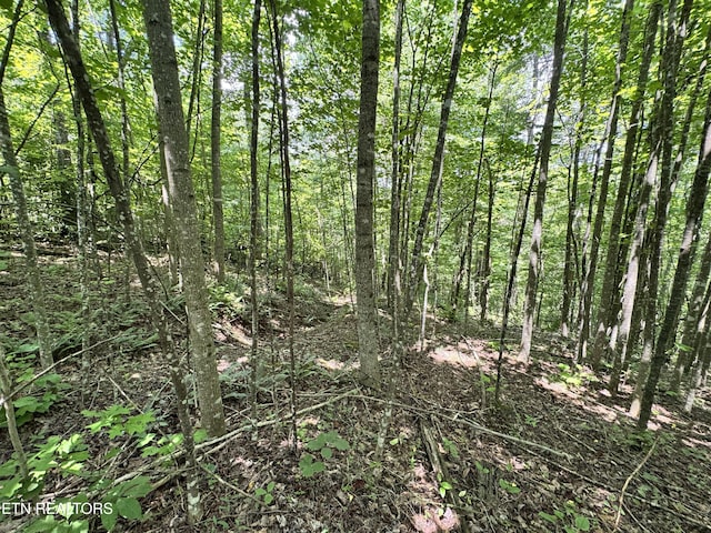 Key Ridge Ln, Crawford, TN 38554