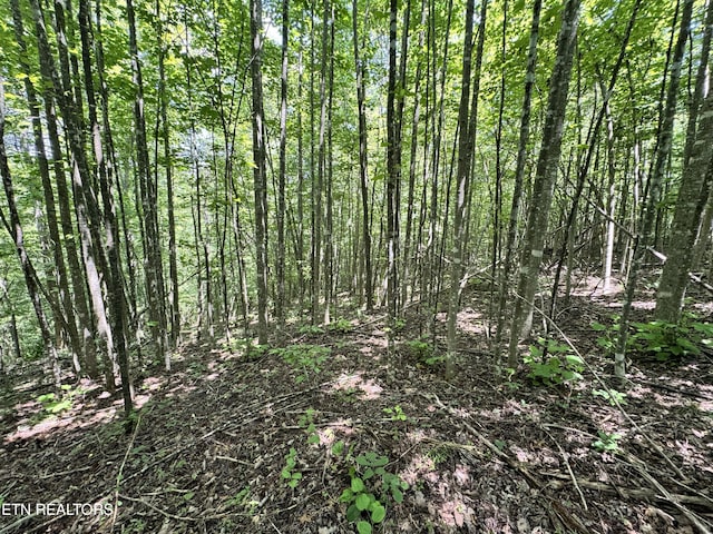 Key Ridge Ln, Crawford, TN 38554
