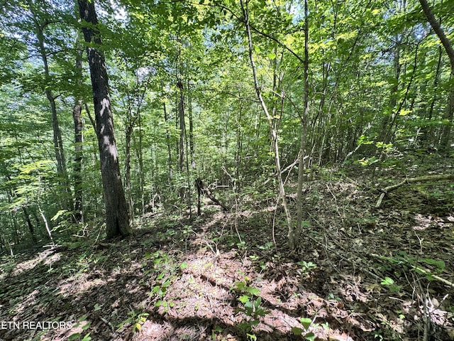 Key Ridge Ln, Crawford, TN 38554