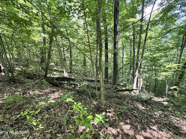 Key Ridge Ln, Crawford, TN 38554