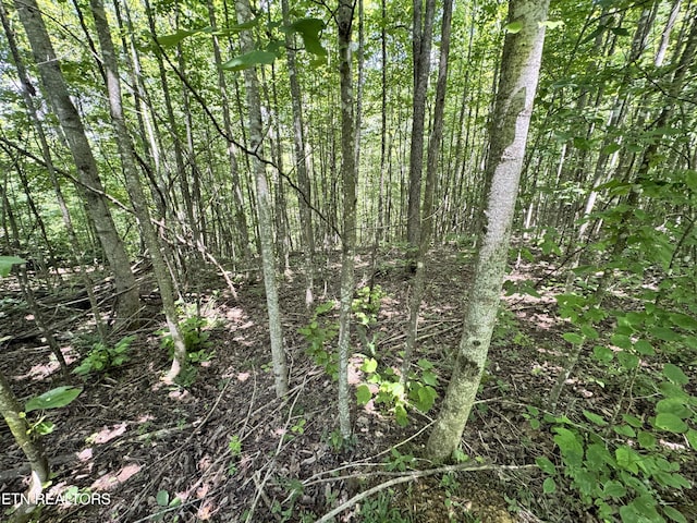 Key Ridge Ln, Crawford, TN 38554