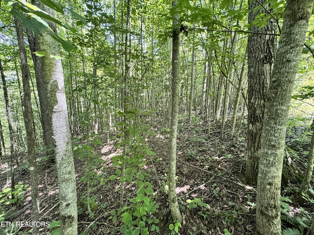 Key Ridge Ln, Crawford, TN 38554