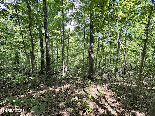 Key Ridge Ln, Crawford, TN 38554