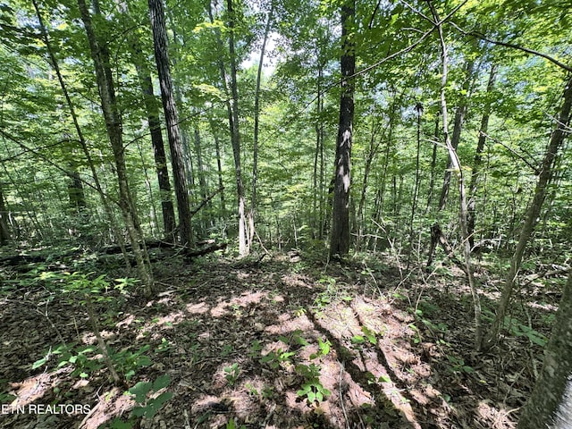 Key Ridge Ln, Crawford, TN 38554