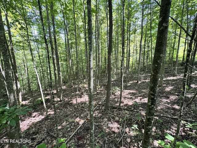 Key Ridge Ln, Crawford, TN 38554