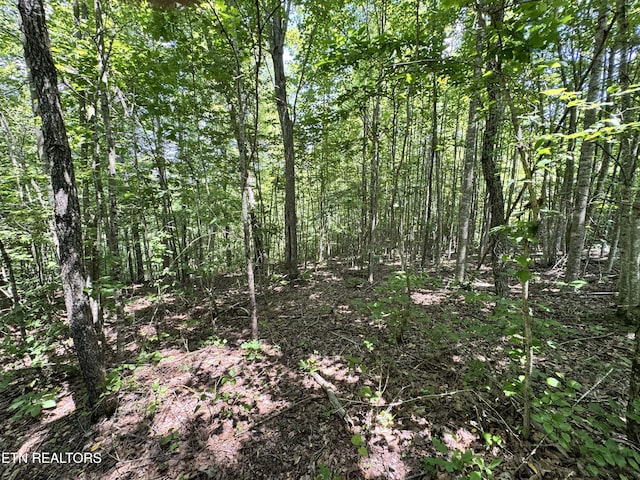 Key Ridge Ln, Crawford, TN 38554