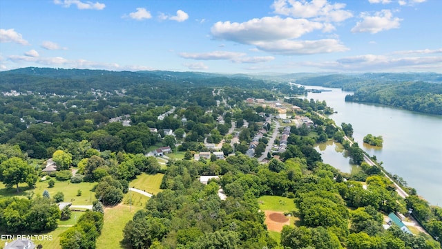 1136 Harbour Shore Dr, Knoxville, TN 37934 - photo 39