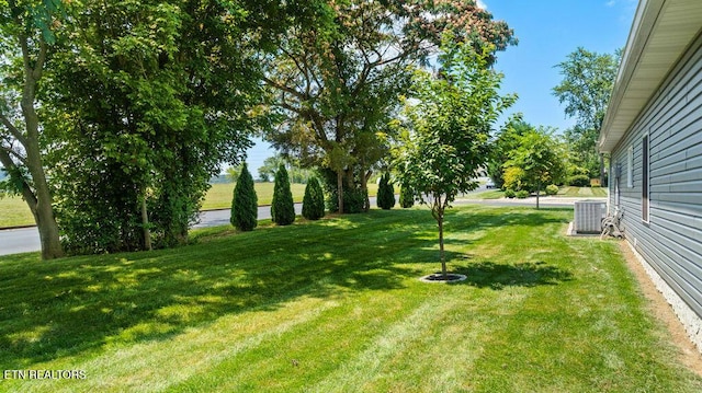 425 Cheeyo Pl, Loudon, TN 37774 - photo 7