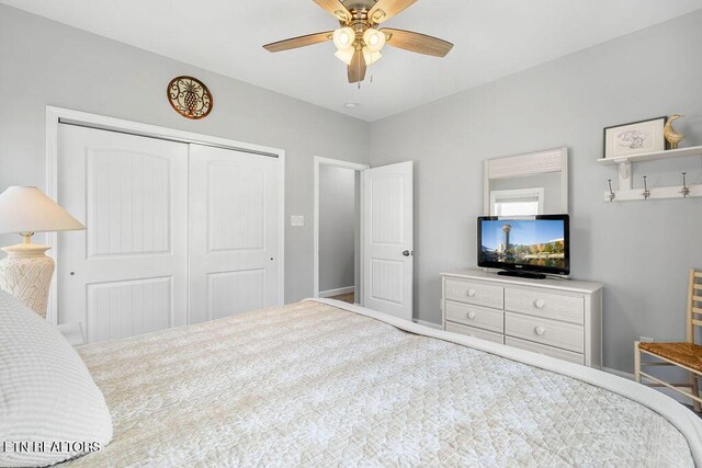 425 Cheeyo Pl, Loudon, TN 37774 - photo 32