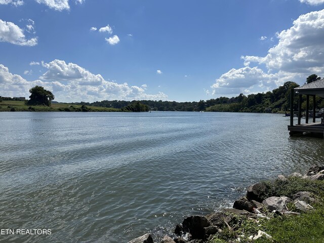 2900 Thimbleberry Way, Knoxville, TN 37919 - photo 4