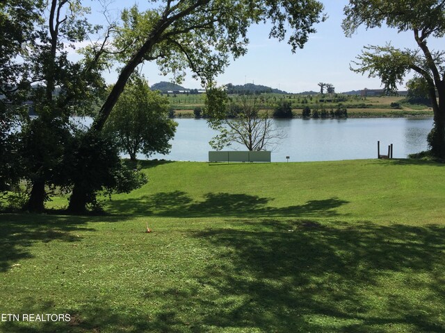 2900 Thimbleberry Way, Knoxville, TN 37919 - photo 8