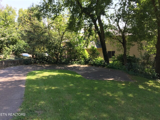 2900 Thimbleberry Way, Knoxville, TN 37919 - photo 10