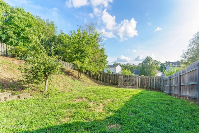 8225 Foxworth Trl, Powell, TN 37849 - photo 26