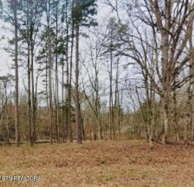 20300 Beals Chapel Rd, Lenoir City, TN 37772 - photo 1