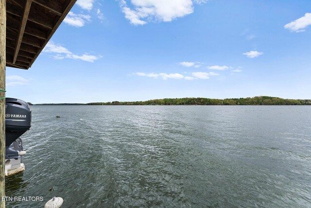 2250 Indian Shadows Dr, Ten Mile, TN 37880 - photo 55