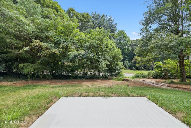 1416 Broad Run Dr, Maryville, TN 37803 - photo 38