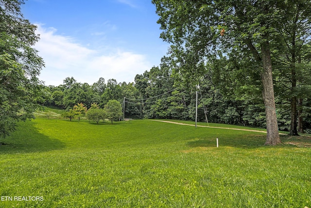 982 Jordan Rd, Washburn, TN 37888 - photo 50