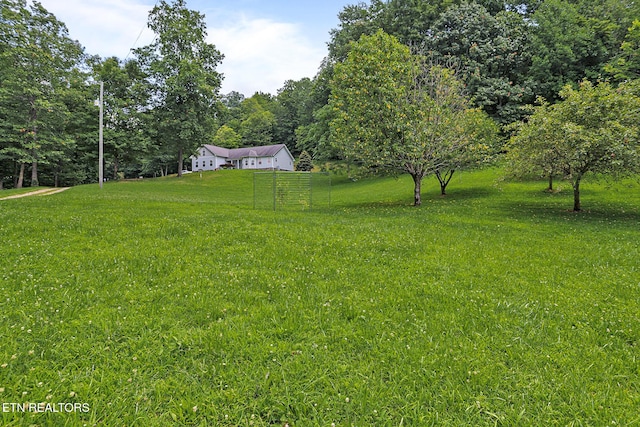 982 Jordan Rd, Washburn, TN 37888 - photo 52