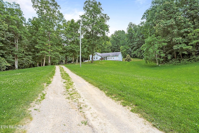 982 Jordan Rd, Washburn, TN 37888 - photo 53