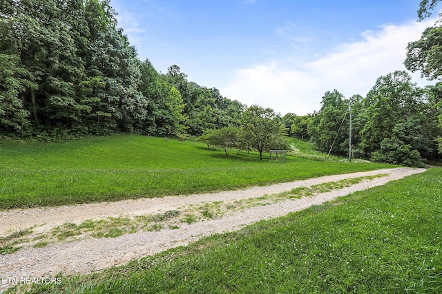 982 Jordan Rd, Washburn, TN 37888 - photo 54