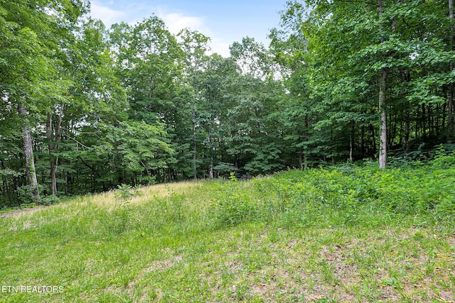 982 Jordan Rd, Washburn, TN 37888 - photo 57