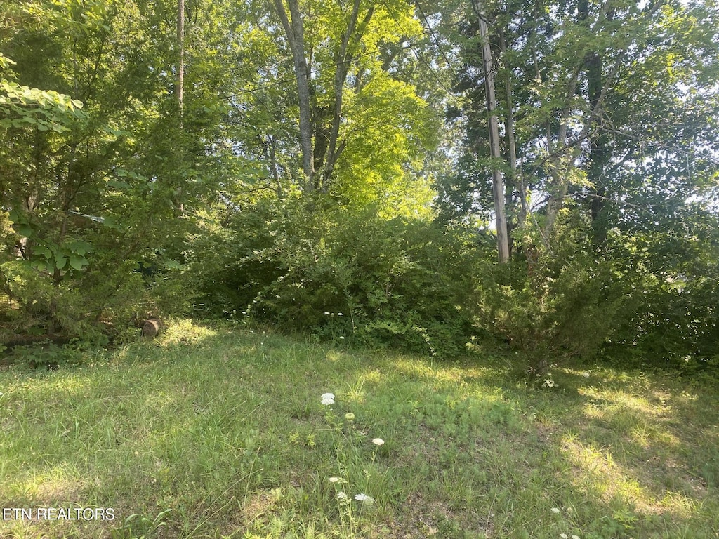 LOT81 Shamrock Pl, Sevierville, TN 37876
