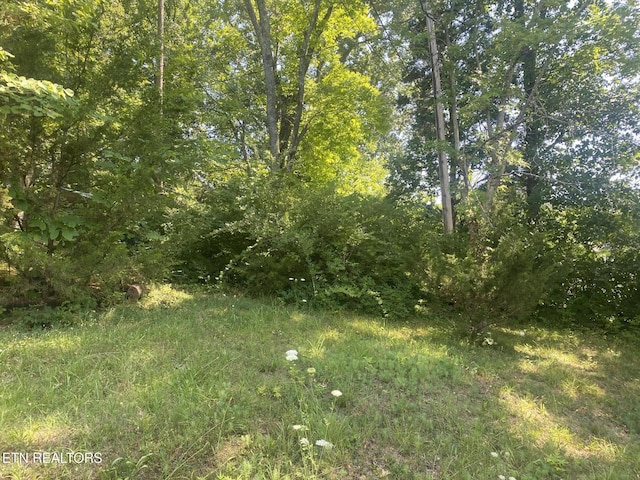 LOT81 Shamrock Pl, Sevierville, TN 37876