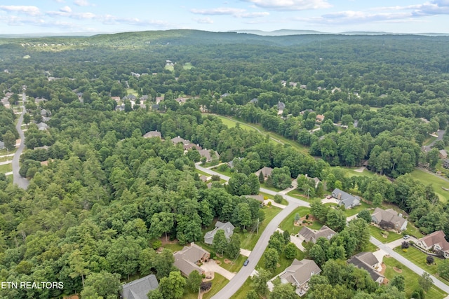 44 Roundstone Ter, Crossville, TN 38558 - photo 31