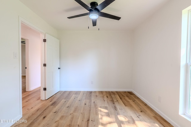2701 Mary Emily Ln, Knoxville, TN 37924 - photo 30