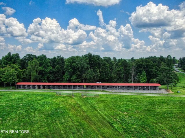3636 Pickett Park Hwy, Jamestown, TN 38556 - view of grassy yard