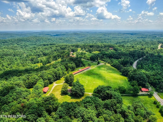 3636 Pickett Park Hwy, Jamestown, TN 38556 - aerial view of a heavily wooded area