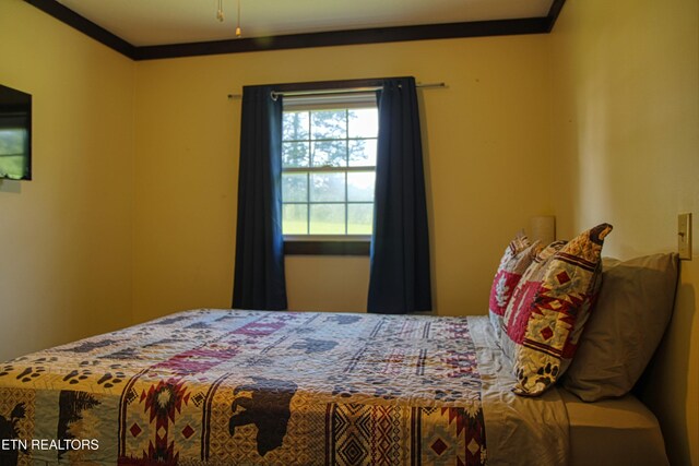 3636 Pickett Park Hwy, Jamestown, TN 38556 - bedroom featuring crown molding