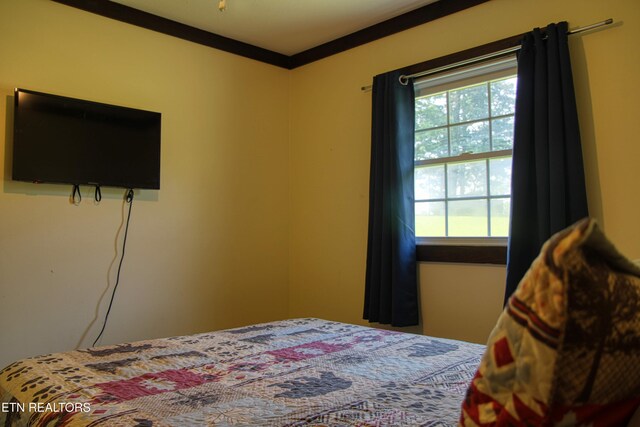 3636 Pickett Park Hwy, Jamestown, TN 38556 - view of bedroom