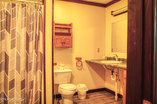 3636 Pickett Park Hwy, Jamestown, TN 38556 - full bath with wood finished floors and a shower with shower curtain